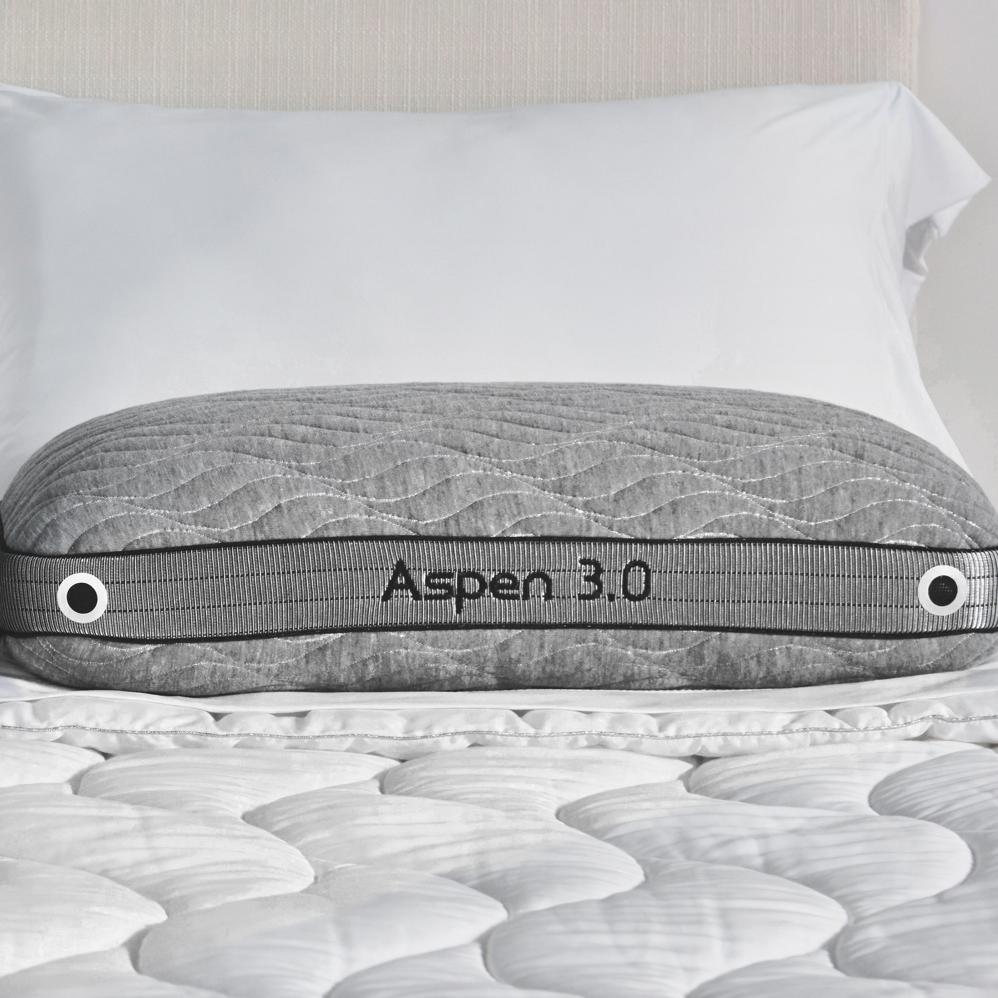 Aspen Performance® Pillow