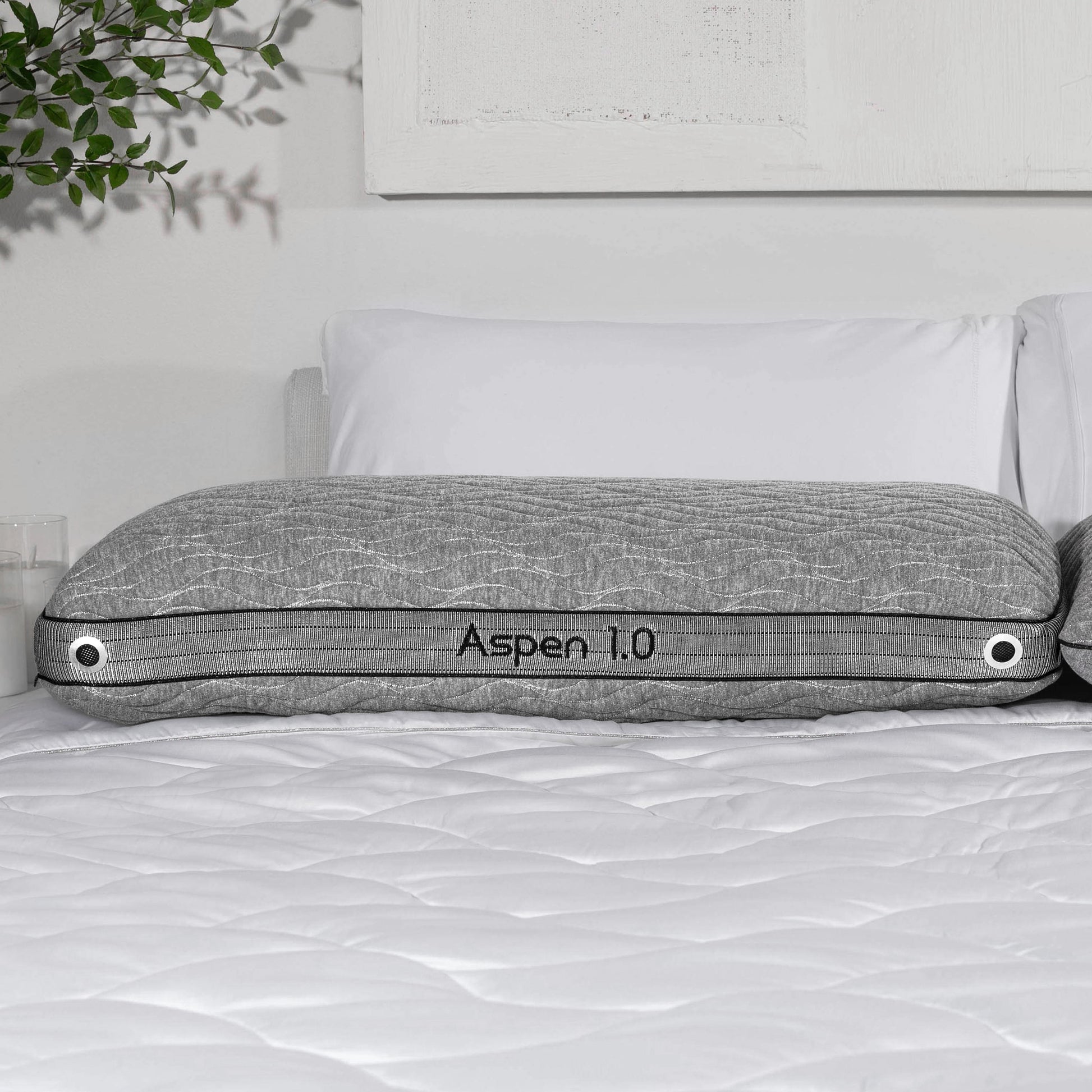 Aspen Performance® Pillow