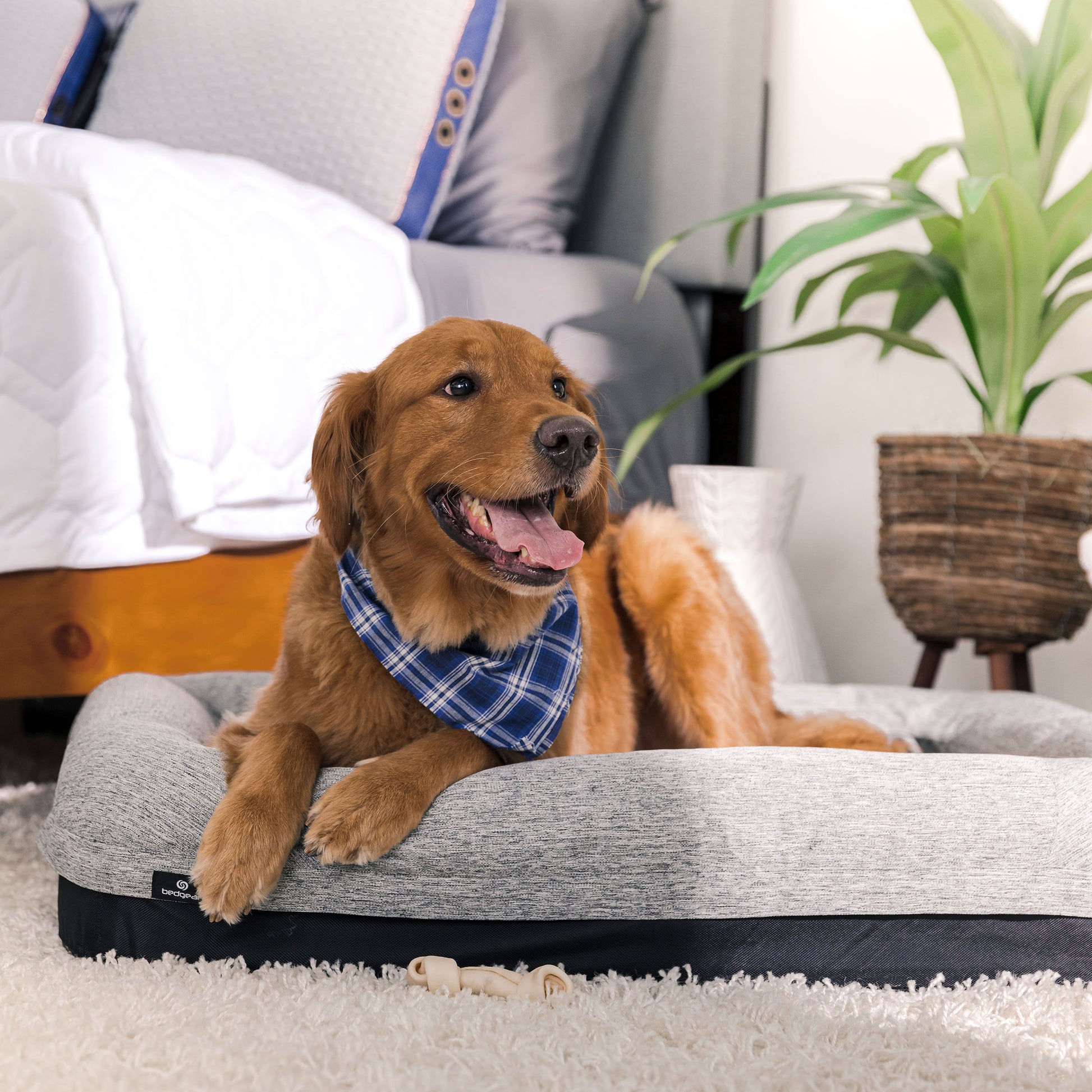 Performance® Dog Bed