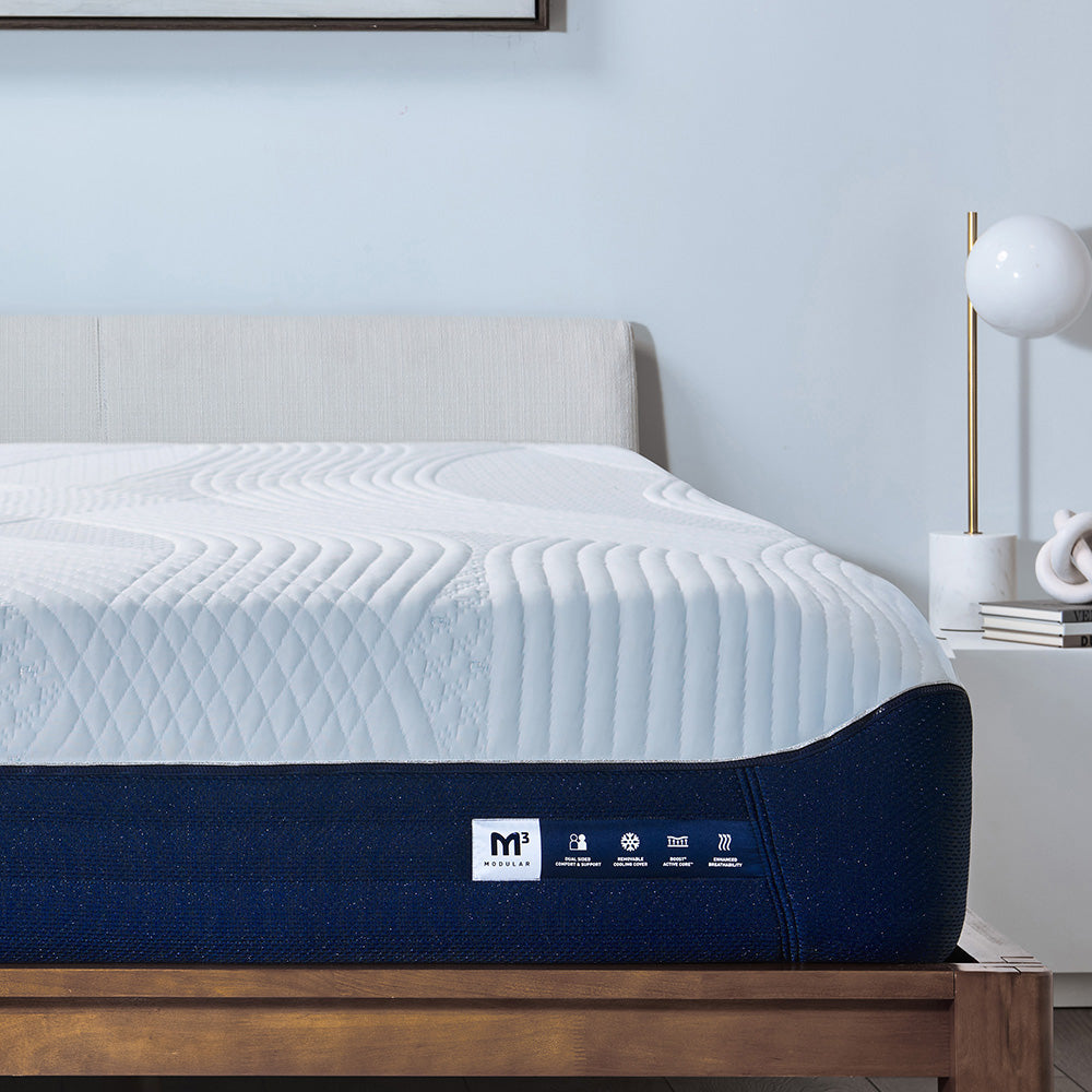 Rebellion Worthy Retail Mattresses (with Zippered Covers) 31 01 M3 Mattress Main v2 WEB